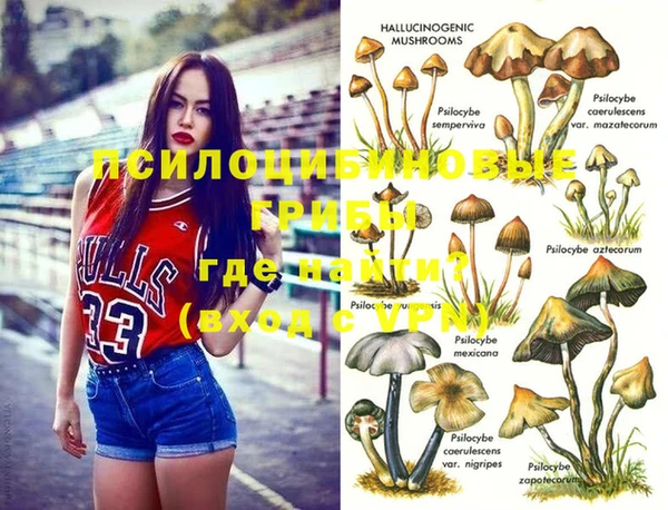 прущие крисы Абинск