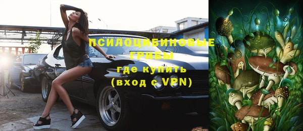 прущие крисы Абинск